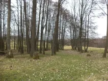 Dražba pozemku pro bydlení, Dolní Nivy, 1221 m2
