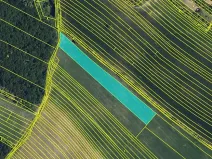 Prodej pole, Klobouky u Brna, 9109 m2