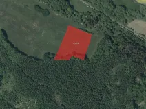 Prodej louky, Libuň, 12477 m2