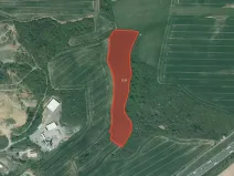 Prodej louky, Starý Plzenec, 59266 m2