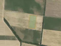 Prodej pole, Hrušovany nad Jevišovkou, 33026 m2