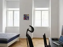 Pronájem bytu 1+1, Praha - Nové Město, Krakovská, 55 m2