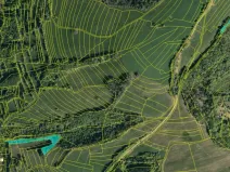 Prodej pozemku, Valašská Senice, 313789 m2