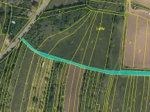 Prodej podílu pole, Syrovín, 7351 m2