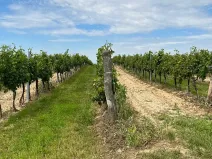 Prodej podílu pozemku, Vracov, 152 m2