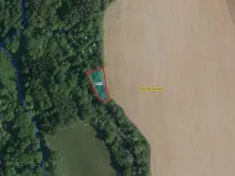 Prodej lesa, Ronov nad Doubravou, 964 m2