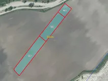 Prodej pole, Čížkovice, 7982 m2