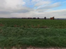 Prodej pole, Červené Pečky, 7209 m2