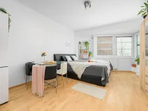 Pronájem bytu 1+kk, Liberec, Jeronýmova, 33 m2