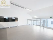 Pronájem obchodního prostoru, Hradec Králové, Vlčkovická, 700 m2
