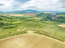 Prodej sadu/vinice, Pouzdřany, 1120 m2