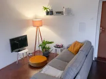 Pronájem bytu 1+1, Liberec, nám. Českých bratří, 40 m2