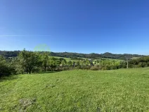 Pronájem louky, Podolí, 938 m2