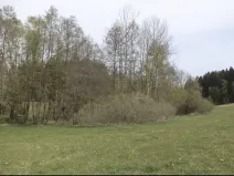 Dražba louky, Mezno, 8388 m2