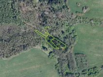 Prodej pole, Petrovice, 16989 m2