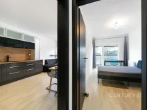 Pronájem bytu 2+kk, Plzeň, U Velkého rybníka, 60 m2