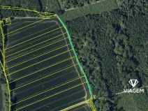 Prodej podílu lesa, Uhřičice, 2517 m2