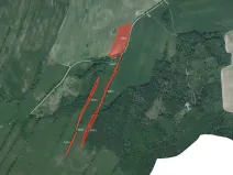 Prodej louky, Město Albrechtice, 64132 m2