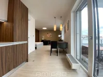 Pronájem bytu 1+kk, Brno, Reissigova, 41 m2