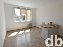 Pronájem bytu 1+kk, Chodov, Čapkova, 26 m2