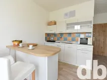 Pronájem bytu 1+kk, Chodov, Čapkova, 26 m2