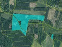 Prodej lesa, Branice, 82524 m2