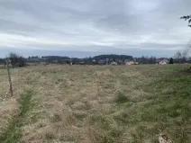 Dražba louky, Nový Oldřichov, 1550 m2