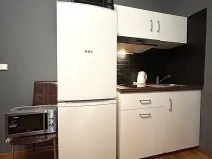 Pronájem bytu 1+kk, Praha - Vinohrady, Pod Zvonařkou, 27 m2