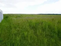 Dražba pole, Dolní Krupá, 5368 m2