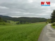 Prodej lesa, Vysoká Srbská, 26095 m2