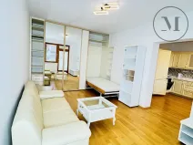 Pronájem bytu 1+1, České Budějovice, Riegrova, 55 m2