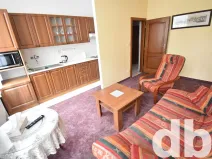 Pronájem bytu 2+kk, Karlovy Vary, Vítězná, 45 m2