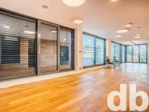 Pronájem bytu 1+kk, Cheb, 26. dubna, 70 m2