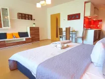 Pronájem bytu 1+kk, Brno, Šemberova, 48 m2