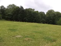 Dražba louky, Vlčice, 1566 m2