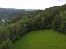 Dražba louky, Rejštejn, 1970 m2