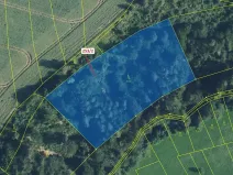 Dražba lesa, Nové Hrady, 7263 m2