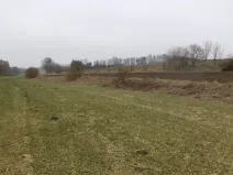 Dražba louky, Trhový Štěpánov, 705 m2