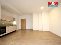 Pronájem bytu 1+kk, Týniště nad Orlicí, 17. listopadu, 45 m2