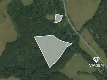 Prodej lesa, Doubravy, 20718 m2