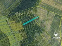 Prodej lesa, Silůvky, 4817 m2