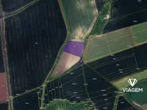 Prodej podílu pole, Bělušice, 1388 m2