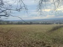 Prodej louky, Bělkovice-Lašťany, 27123 m2