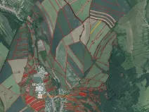 Prodej pole, Velká nad Veličkou, 4153 m2