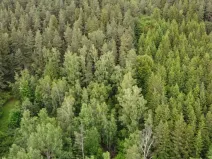 Prodej pozemku, Rejštejn, 1970 m2