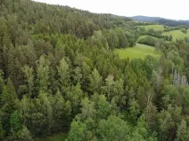 Prodej pozemku, Rejštejn, 1970 m2