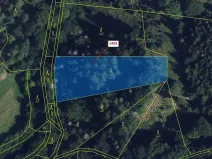Dražba lesa, Vranová Lhota, 3122 m2