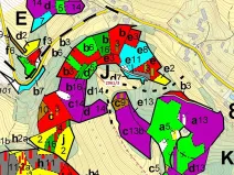 Dražba lesa, Český Dub, 1217 m2