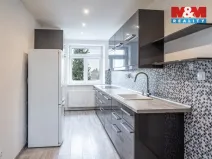 Prodej bytu 3+1, Písek - Budějovické Předměstí, Baarova, 84 m2