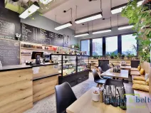 Prodej obchodního prostoru, Praha - Troja, Lodžská, 254 m2